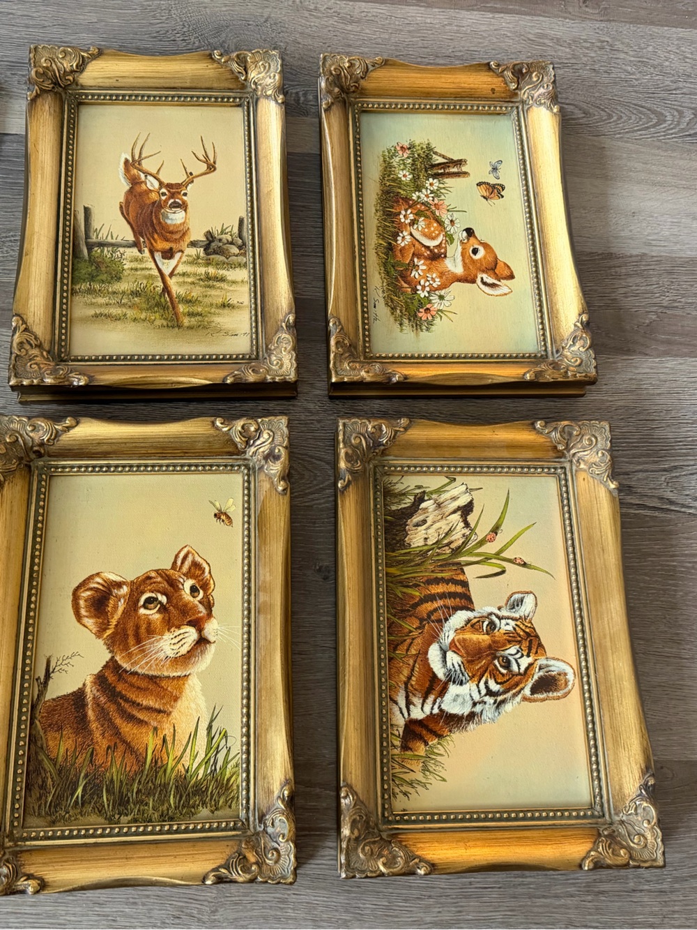 Set of 4 Framed Wildlife Prints - Deer, Fawn, Lion Cub, Tiger